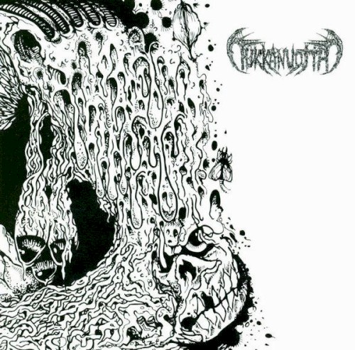 Tukkanuotta / Goresoerd