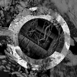 Rhetoric of the Image