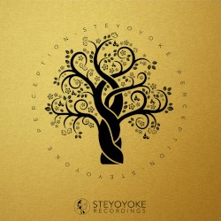 Steyoyoke Perception, Vol. 01