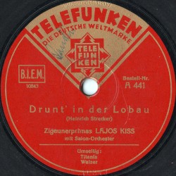 Drunt’ in der Lobau / Titania