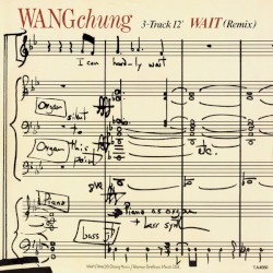 Wait (remix)