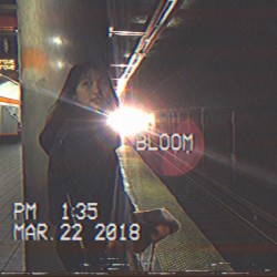 Bloom