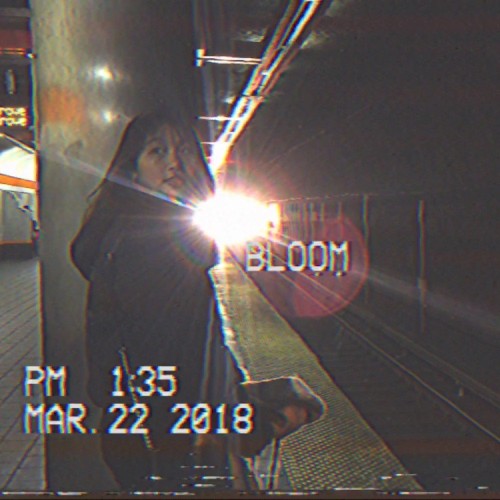 Bloom