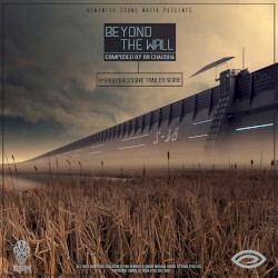 Beyond the Wall: Intense Percussive Trailer Score