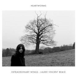 Extraordinary Wings (Laurie Vincent remix)
