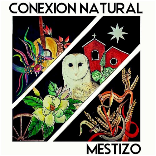 Conexión natural
