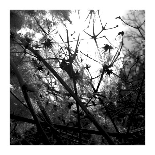 Irradiance