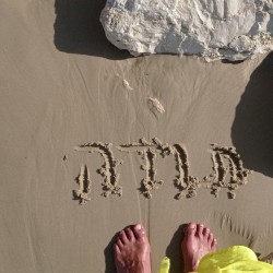 תודה