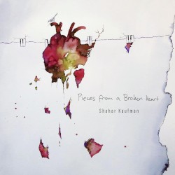 Pieces From a Broken Heart