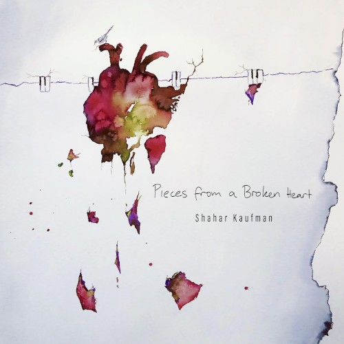 Pieces From a Broken Heart