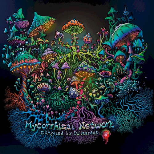 Mycorrhizal Network