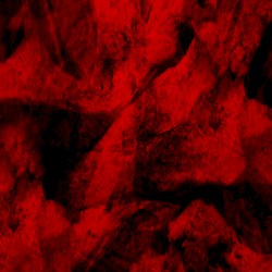 Red Marrow: Three