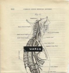Wards