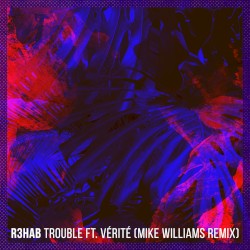 Trouble (Mike Williams remix)
