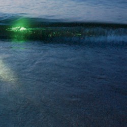 Emeralds