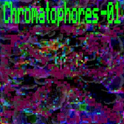 Chromatophores-01