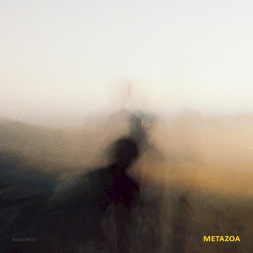 Metazoa