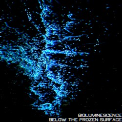 Bioluminescence / Below The Frozen Surface