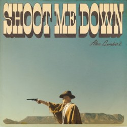 Shoot Me Down