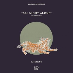 All Night Alone (Chris Lake edit)