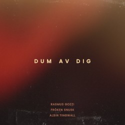 DUM AV DIG