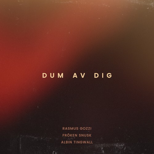 DUM AV DIG