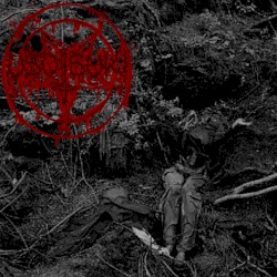 Aokigahara II