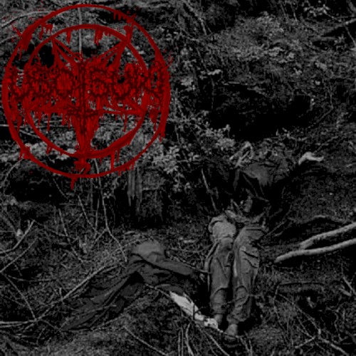 Aokigahara II