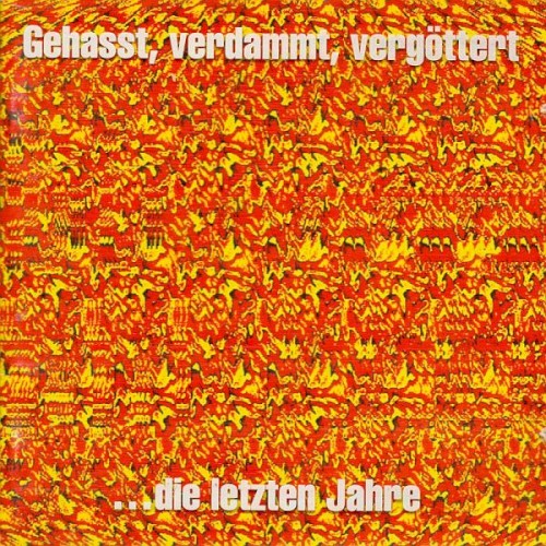 Gehasst, verdammt, vergöttert: ... die letzten Jahre