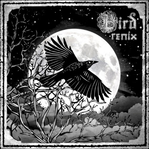 Shadows (the remixes)