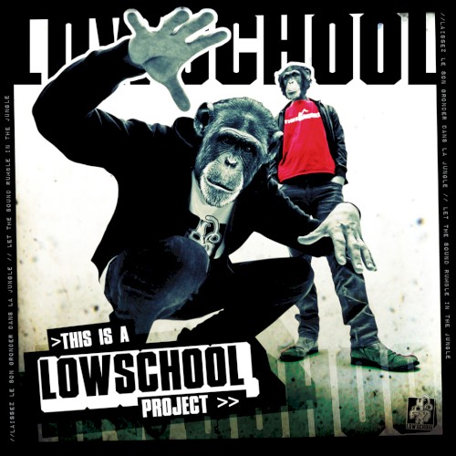 This Is a Lowschool Project