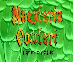 Life Cycle