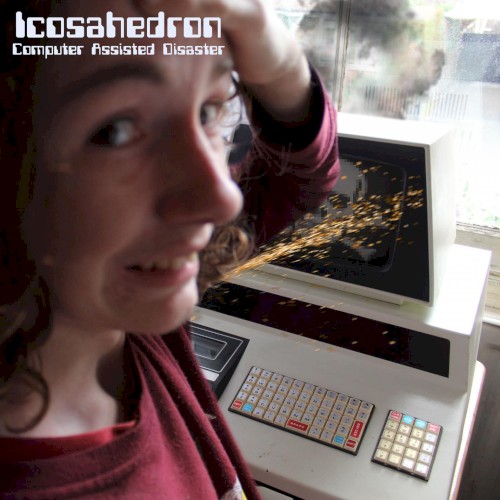 Computer Assisted Disaster