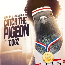 Catch the Pigeon / Dogz