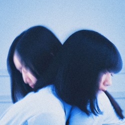 ニコの涙