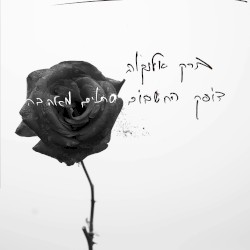 דופק החשבום סתום מאהבה