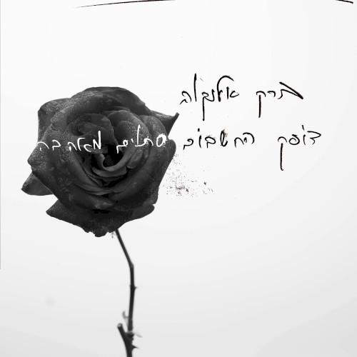 דופק החשבום סתום מאהבה
