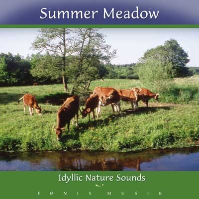 Summer Meadow
