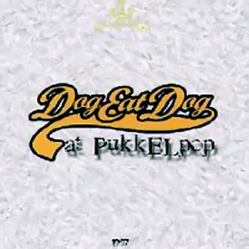Live at Pukkelpop