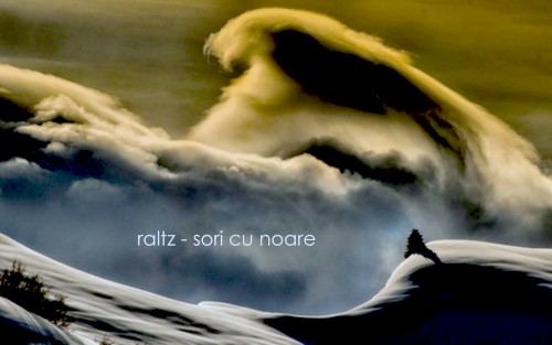 Sori Cu Noare