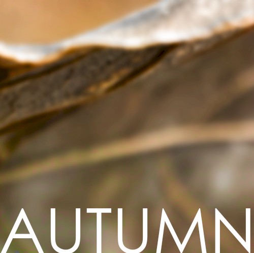 AUTUMN o3