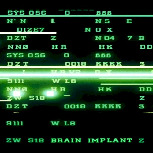 Brain Implant