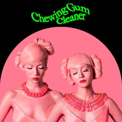 Chewing Gum Cleaner