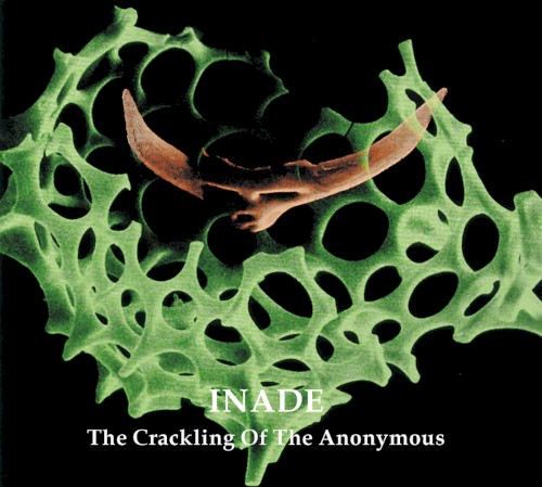 The Crackling of the Anonymous
