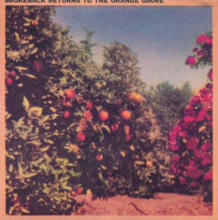 Return to the Orange Grove