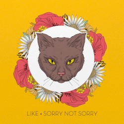 Sorry Not Sorry