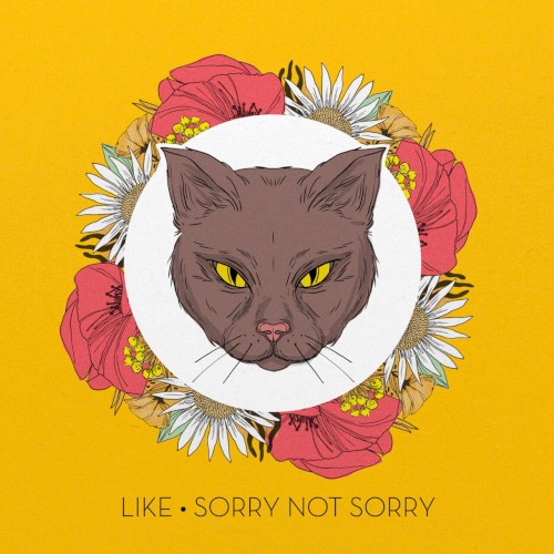 Sorry Not Sorry