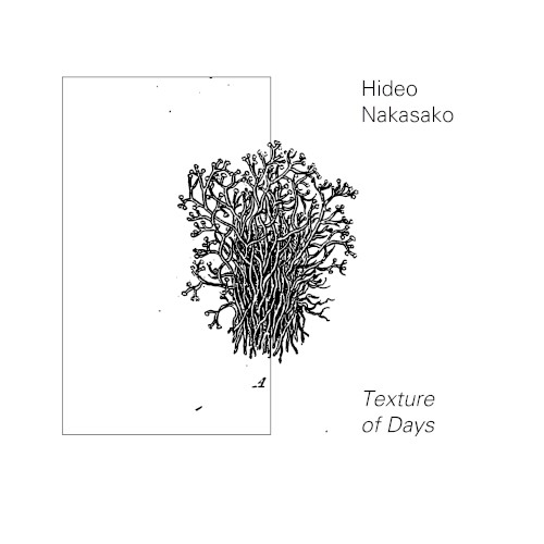 Texture of Days