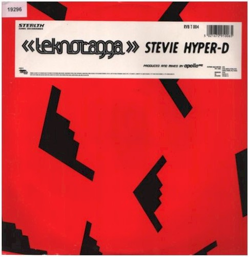 Teknoragga
