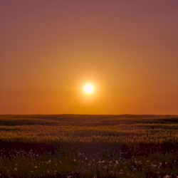 Golden Hour